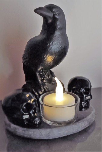 Rabe crow vogel mit - mit, schädeln